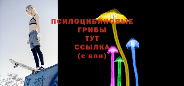 ПСИЛОЦИБИНОВЫЕ ГРИБЫ Армянск